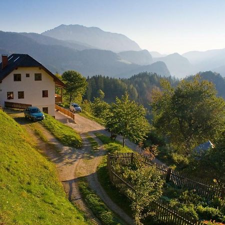 Turisticna Kmetija Perk Villa Solčava Dış mekan fotoğraf