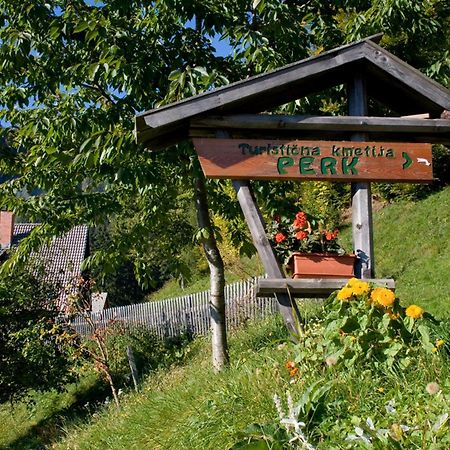 Turisticna Kmetija Perk Villa Solčava Dış mekan fotoğraf