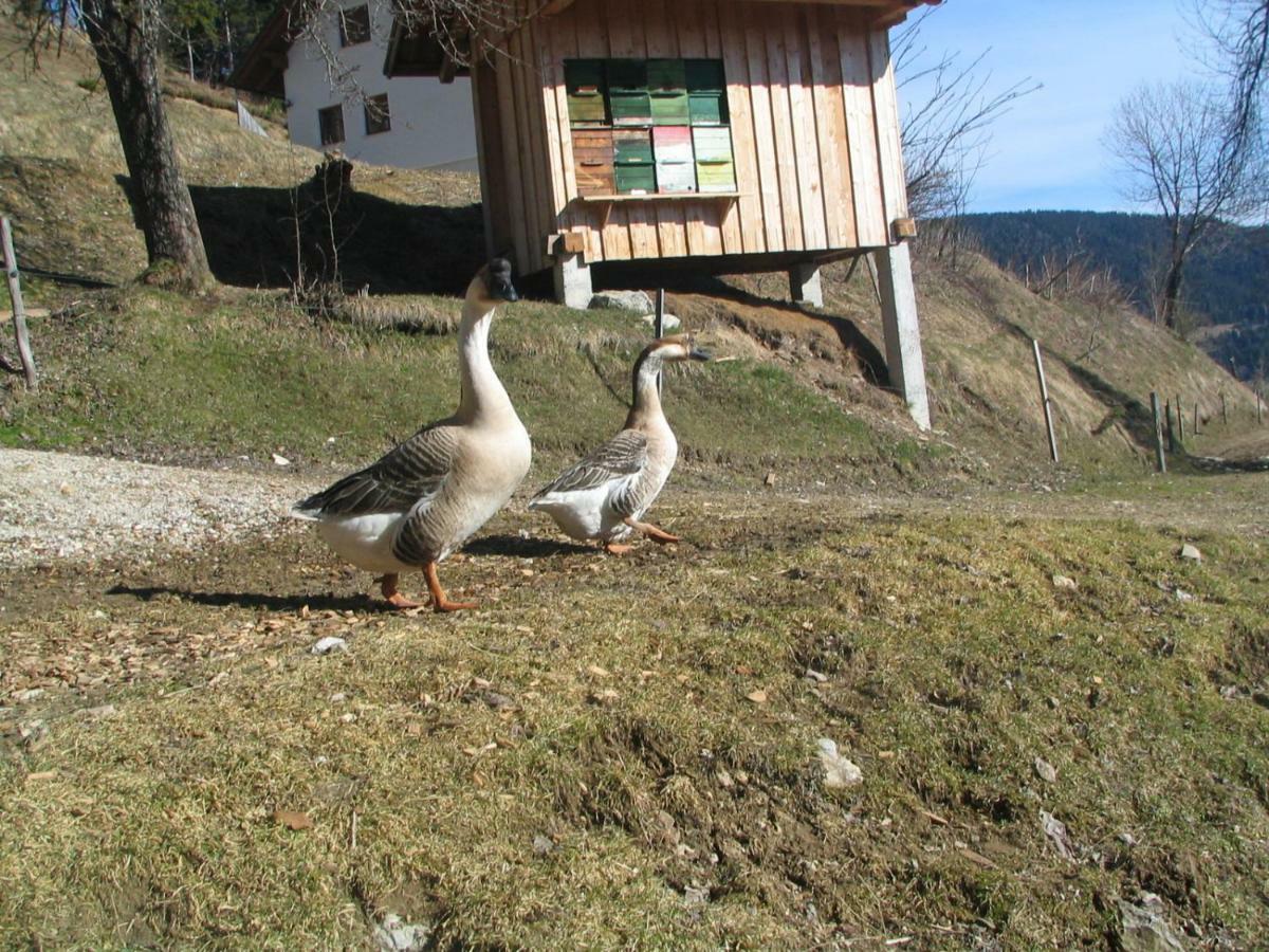 Turisticna Kmetija Perk Villa Solčava Dış mekan fotoğraf