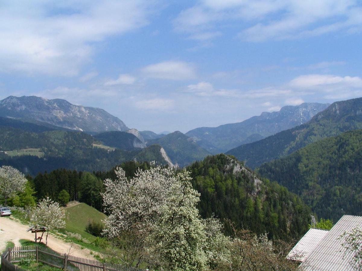 Turisticna Kmetija Perk Villa Solčava Dış mekan fotoğraf