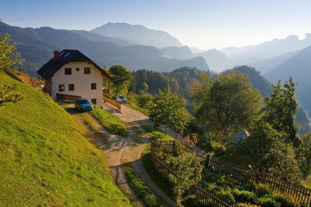 Turisticna Kmetija Perk Villa Solčava Dış mekan fotoğraf