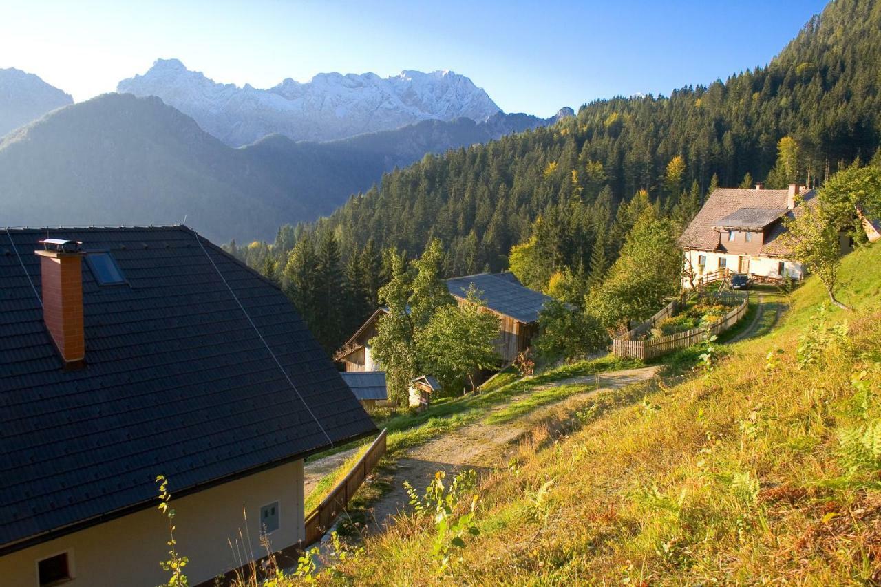Turisticna Kmetija Perk Villa Solčava Dış mekan fotoğraf