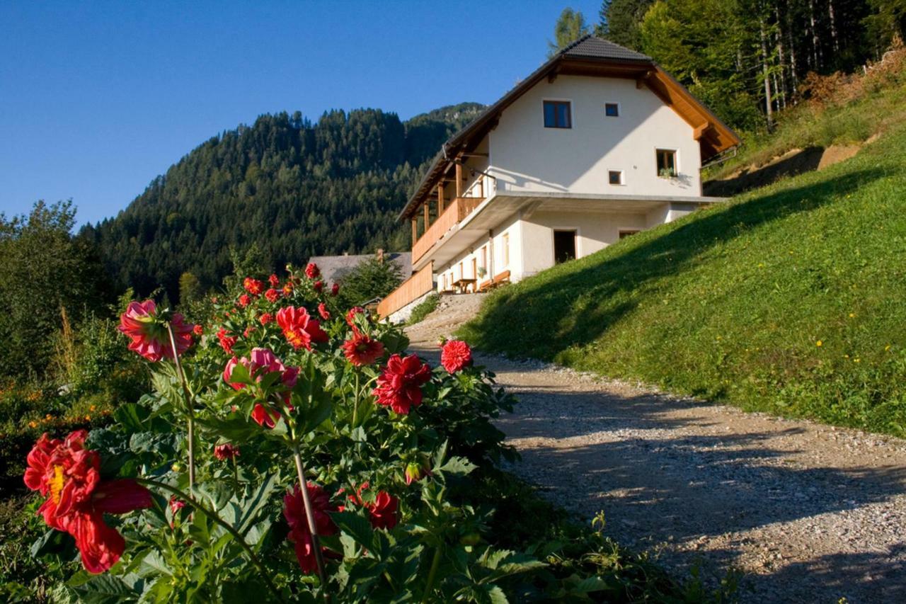 Turisticna Kmetija Perk Villa Solčava Dış mekan fotoğraf