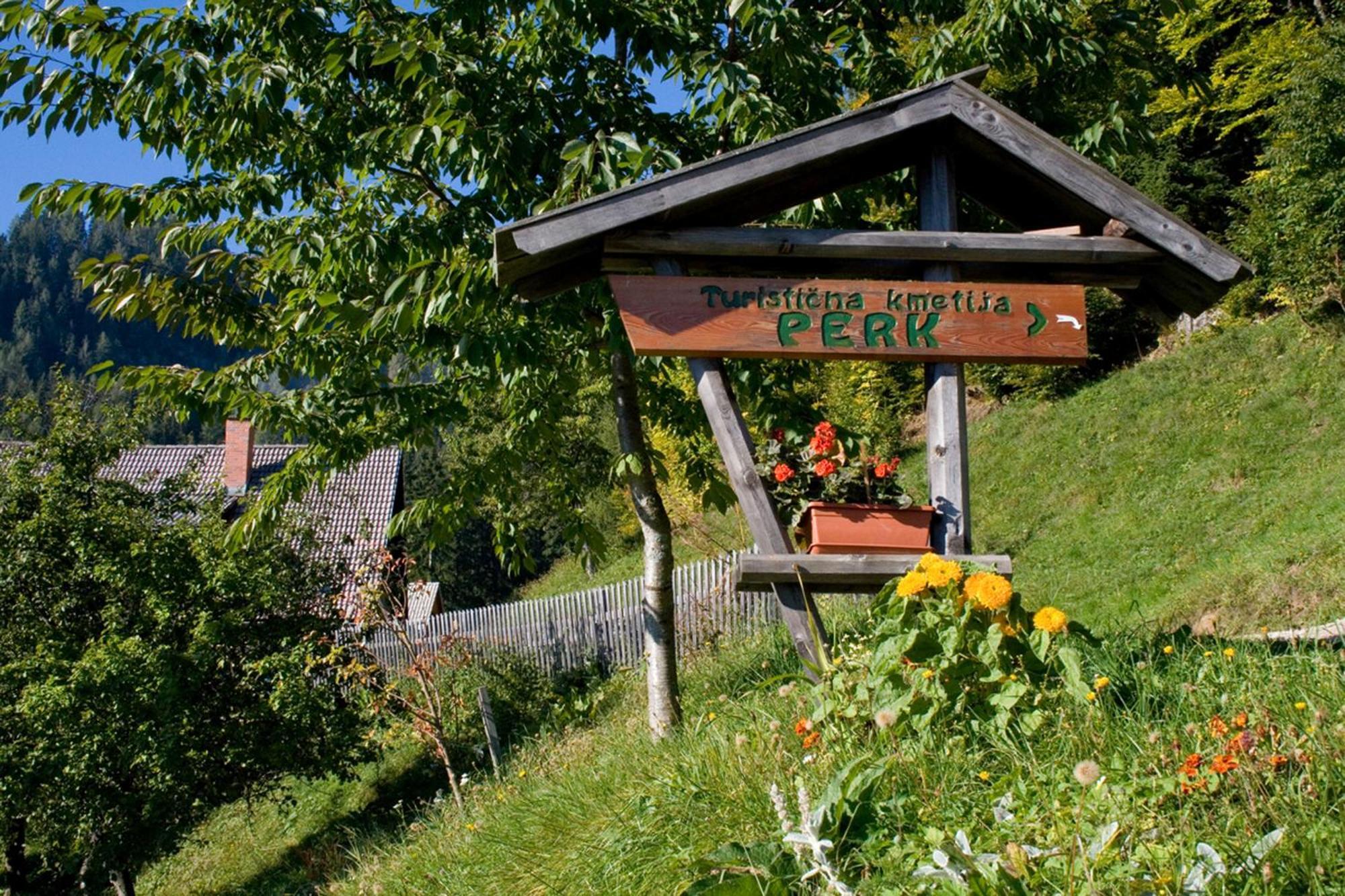 Turisticna Kmetija Perk Villa Solčava Dış mekan fotoğraf