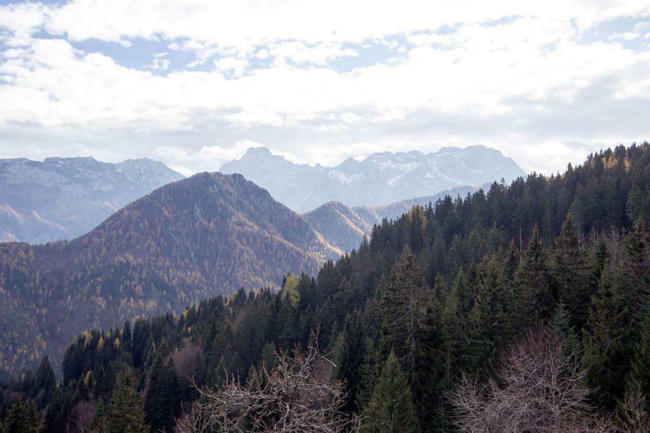 Turisticna Kmetija Perk Villa Solčava Dış mekan fotoğraf